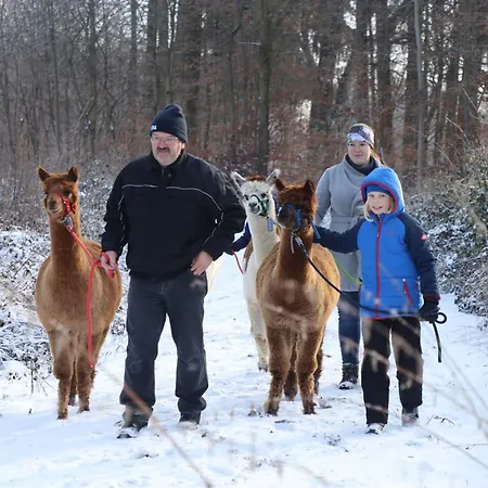 公寓 Schauerhof 切明