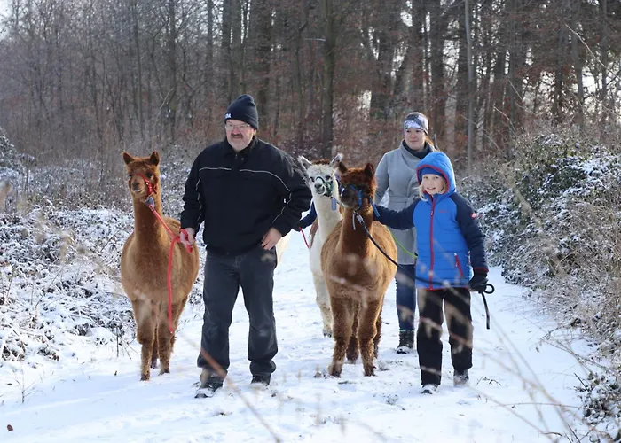 公寓 Schauerhof 切明