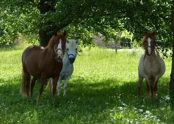 Schauerhof شقة