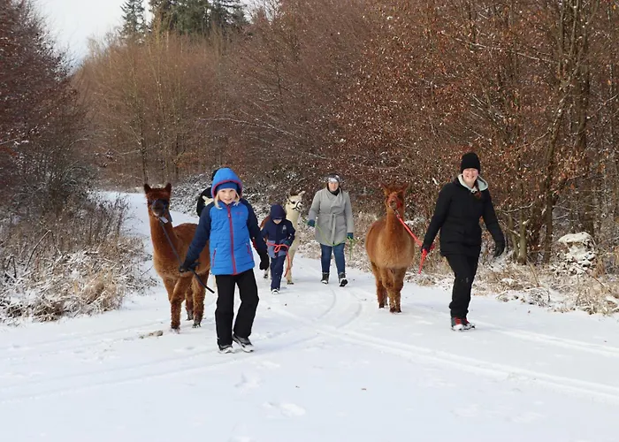 Schauerhof 公寓 切明
