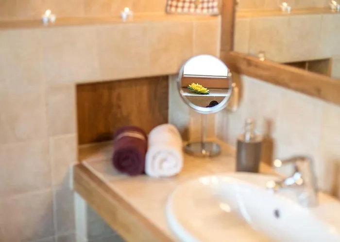 Schauerhof 公寓 切明